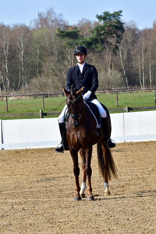 Reitsportzentrum Bremervörde | 160421 Dressurpf A_002 
