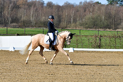 Reitsportzentrum Bremervörde | 160421 Dressurpf A_004 