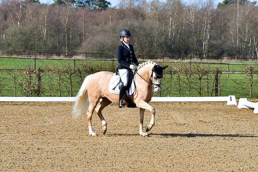 Reitsportzentrum Bremervörde | 160421 Dressurpf A_005 
