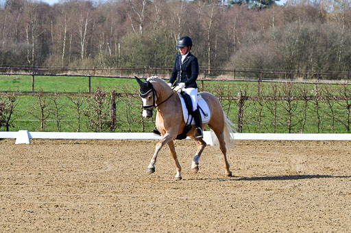 Reitsportzentrum Bremervörde | 160421 Dressurpf A_006 