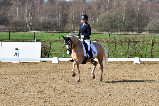 Reitsportzentrum Bremervörde | 160421 Dressurpf A_007 
