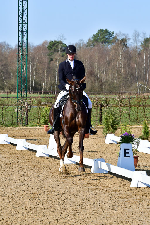 Reitsportzentrum Bremervörde | 160421 Dressurpf A_008 