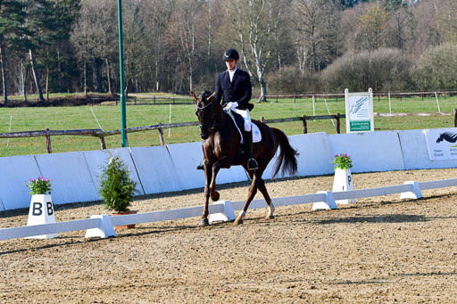 Reitsportzentrum Bremervörde | 160421 Dressurpf A_010 