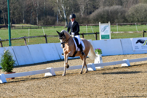 Reitsportzentrum Bremervörde | 160421 Dressurpf A_012 