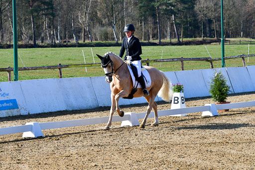 Reitsportzentrum Bremervörde | 160421 Dressurpf A_013 