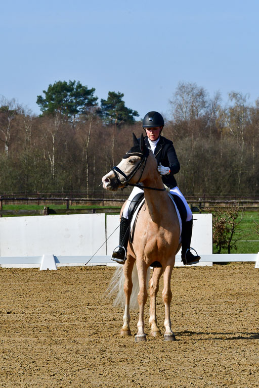 Reitsportzentrum Bremervörde | 160421 Dressurpf A_015 