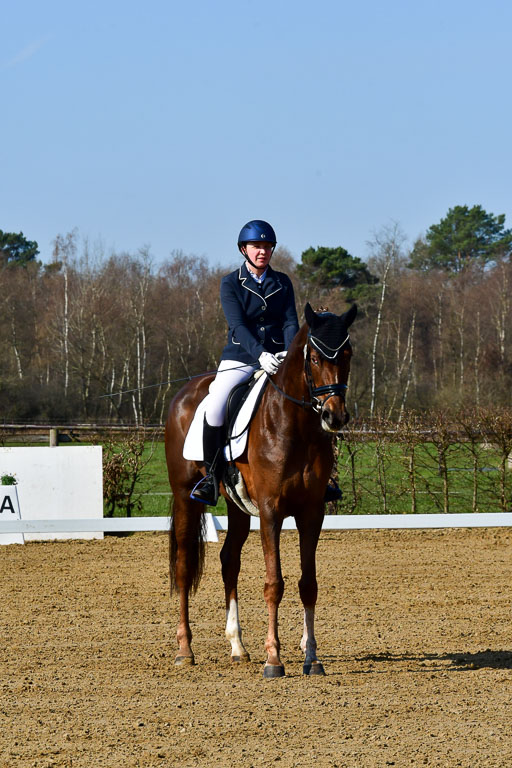 Reitsportzentrum Bremervörde | 160421 Dressurpf A_018 