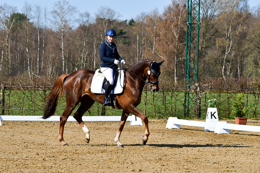 Reitsportzentrum Bremervörde | 160421 Dressurpf A_019 