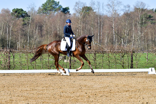 Reitsportzentrum Bremervörde | 160421 Dressurpf A_021 