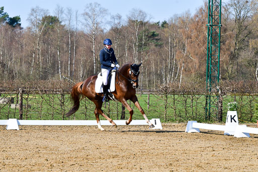 Reitsportzentrum Bremervörde | 160421 Dressurpf A_022 