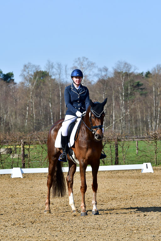 Reitsportzentrum Bremervörde | 160421 Dressurpf A_025 