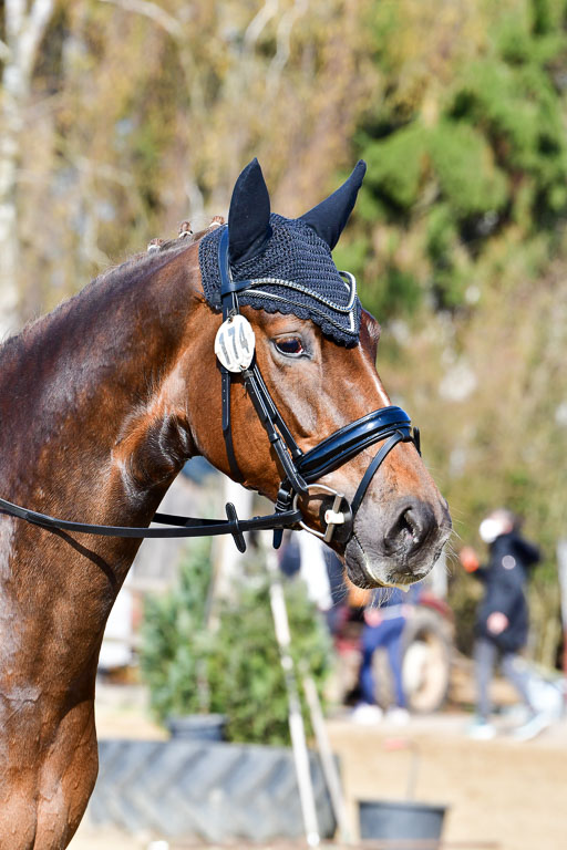 Reitsportzentrum Bremervörde | 160421 Dressurpf A_028 