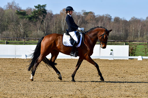 Reitsportzentrum Bremervörde | 160421 Dressurpf A_030 