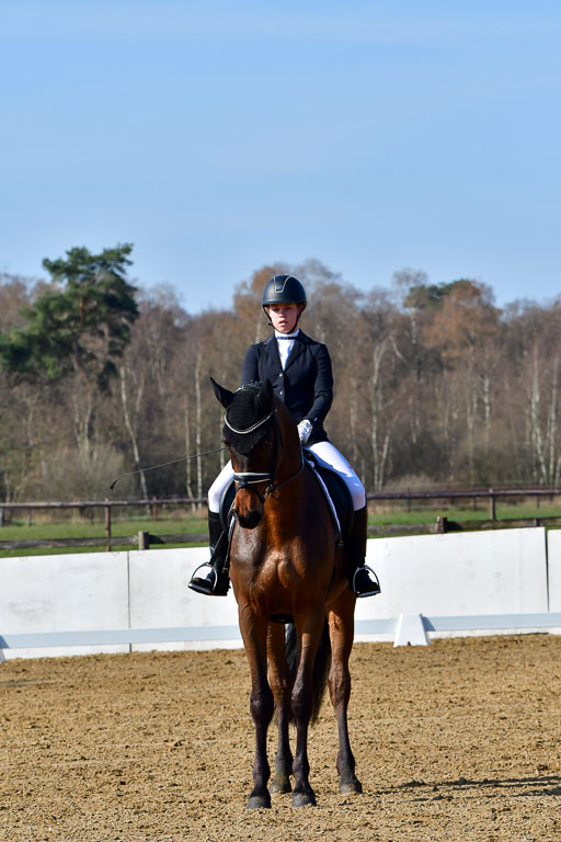 Reitsportzentrum Bremervörde | 160421 Dressurpf A_031 