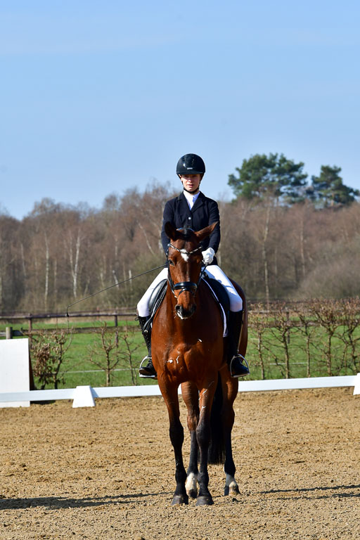 Reitsportzentrum Bremervörde | 160421 Dressurpf A_032 