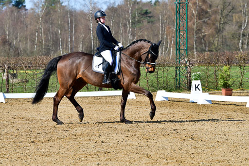 Reitsportzentrum Bremervörde | 160421 Dressurpf A_033 