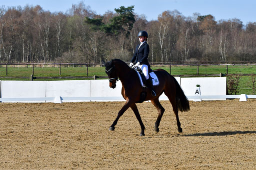 Reitsportzentrum Bremervörde | 160421 Dressurpf A_039 