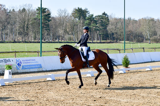 Reitsportzentrum Bremervörde | 160421 Dressurpf A_042 