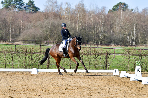 Reitsportzentrum Bremervörde | 160421 Dressurpf A_044 