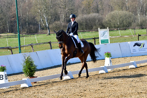 Reitsportzentrum Bremervörde | 160421 Dressurpf A_048 
