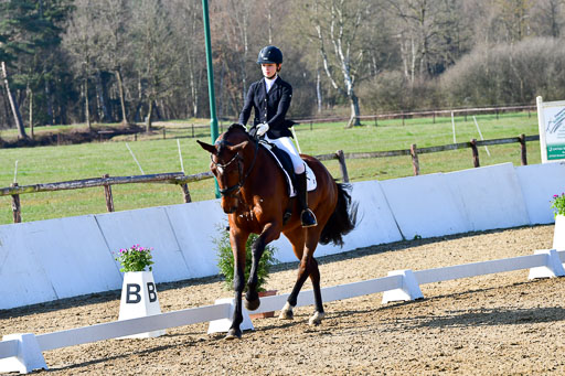 Reitsportzentrum Bremervörde | 160421 Dressurpf A_051 