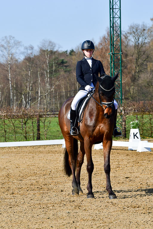 Reitsportzentrum Bremervörde | 160421 Dressurpf A_052 