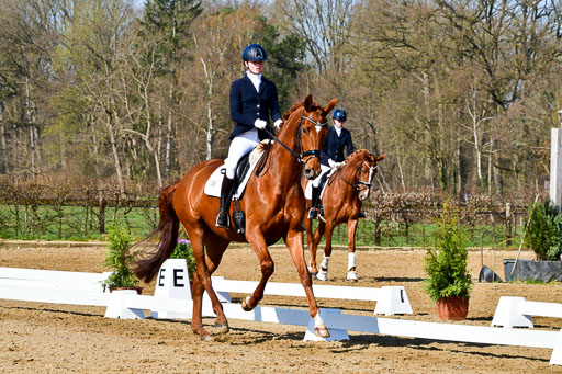 Reitsportzentrum Bremervörde | 160421 Dressurpf A_058 