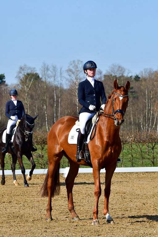 Reitsportzentrum Bremervörde | 160421 Dressurpf A_060 