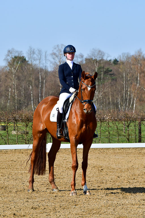 Reitsportzentrum Bremervörde | 160421 Dressurpf A_063 