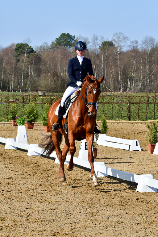Reitsportzentrum Bremervörde | 160421 Dressurpf A_070 