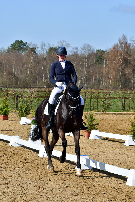 Reitsportzentrum Bremervörde | 160421 Dressurpf A_071 