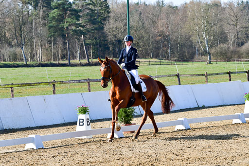 Reitsportzentrum Bremervörde | 160421 Dressurpf A_072 