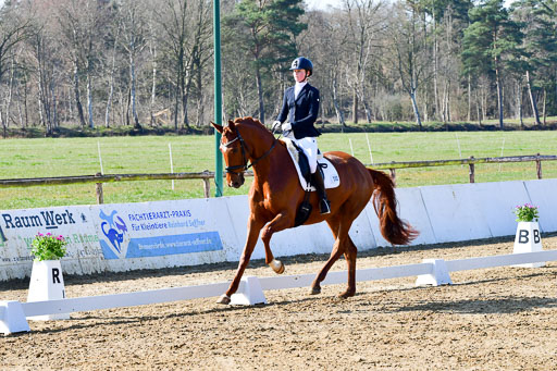 Reitsportzentrum Bremervörde | 160421 Dressurpf A_073 