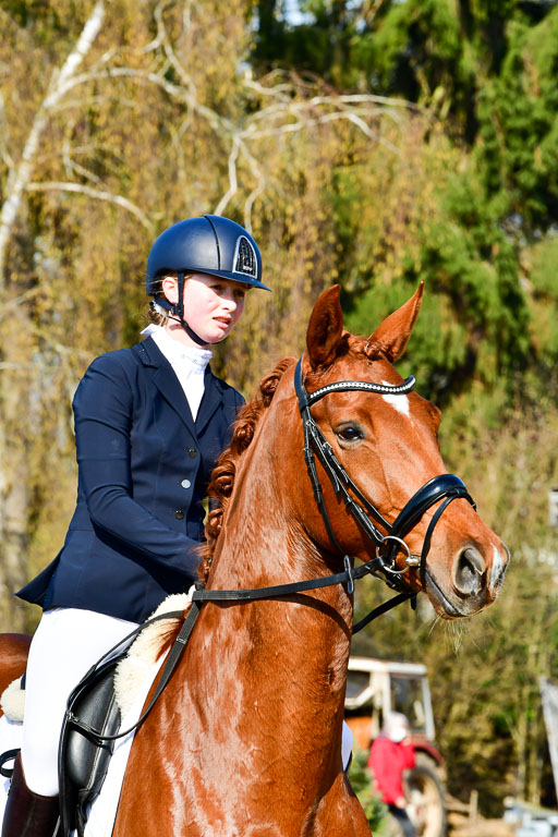 Reitsportzentrum Bremervörde | 160421 Dressurpf A_080 