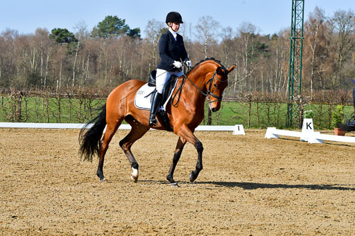 Reitsportzentrum Bremervörde | 160421 Dressurpf A_081 
