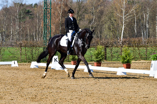 Reitsportzentrum Bremervörde | 160421 Dressurpf A_088 