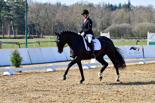 Reitsportzentrum Bremervörde | 160421 Dressurpf A_089 