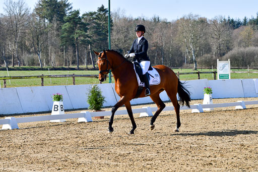 Reitsportzentrum Bremervörde | 160421 Dressurpf A_090 