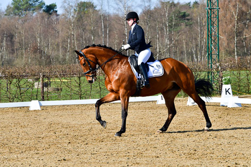 Reitsportzentrum Bremervörde | 160421 Dressurpf A_091 