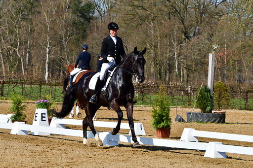 Reitsportzentrum Bremervörde | 160421 Dressurpf A_092 
