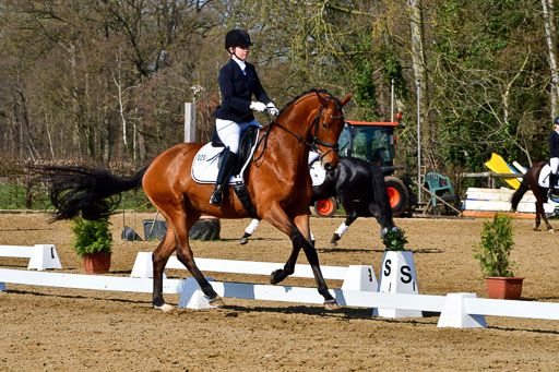 Reitsportzentrum Bremervörde | 160421 Dressurpf A_093 