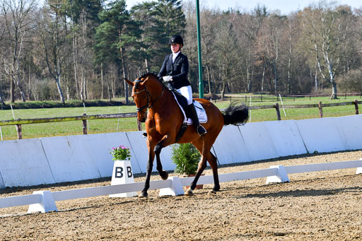Reitsportzentrum Bremervörde | 160421 Dressurpf A_098 
