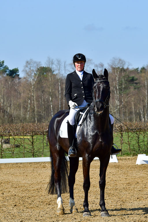 Reitsportzentrum Bremervörde | 160421 Dressurpf A_099 