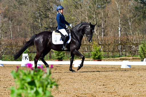 Reitsportzentrum Bremervörde | 160421 Dressurpf A_106 