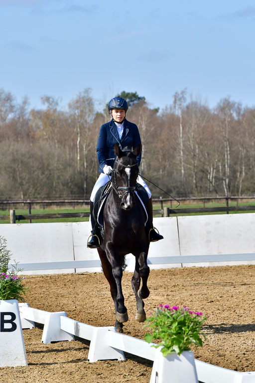 Reitsportzentrum Bremervörde | 160421 Dressurpf A_113 