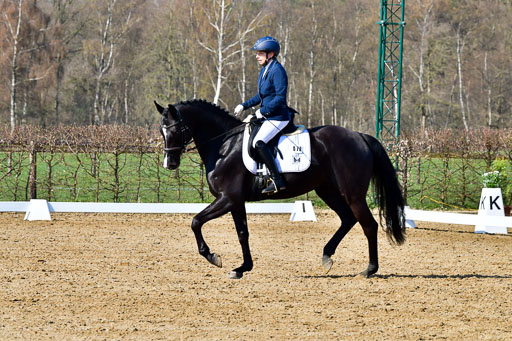 Reitsportzentrum Bremervörde | 160421 Dressurpf A_118 