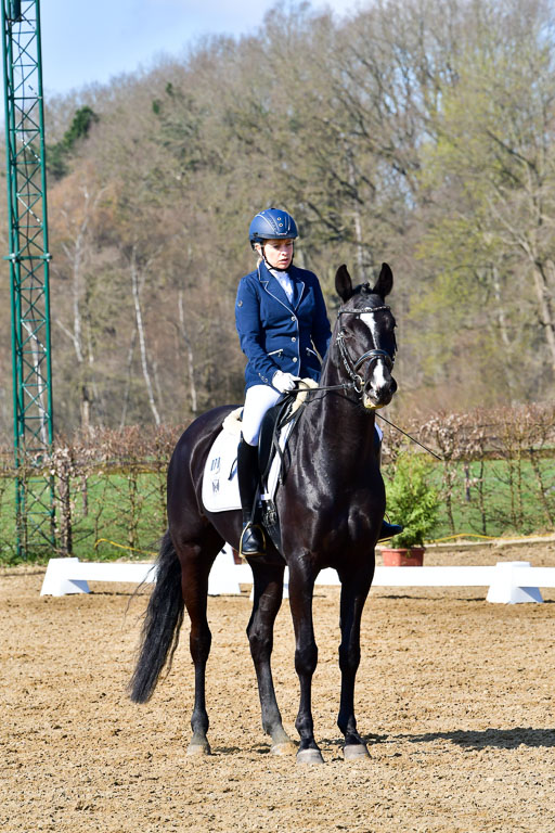 Reitsportzentrum Bremervörde | 160421 Dressurpf A_119 