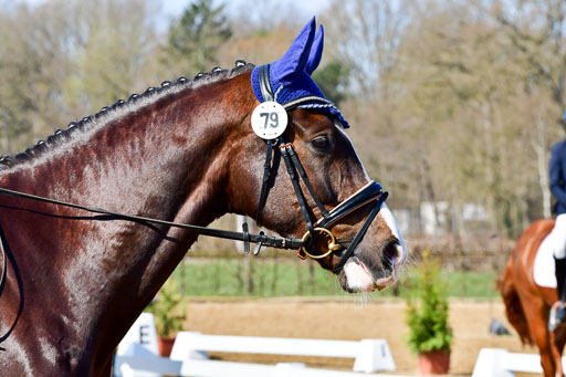 Reitsportzentrum Bremervörde | 160421 Dressurpf A_124 