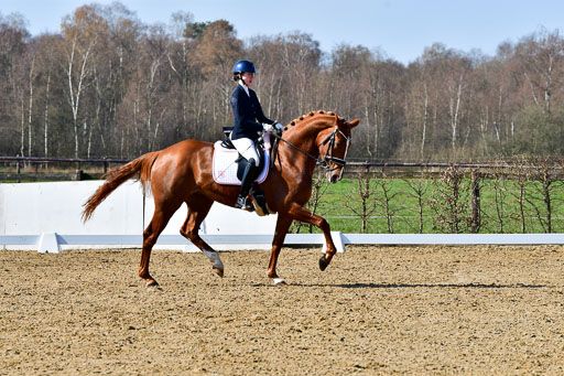 Reitsportzentrum Bremervörde | 160421 Dressurpf A_126 