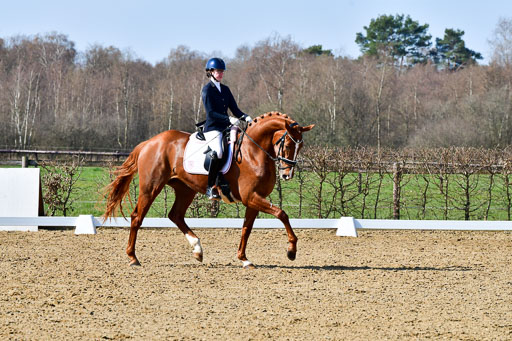 Reitsportzentrum Bremervörde | 160421 Dressurpf A_127 